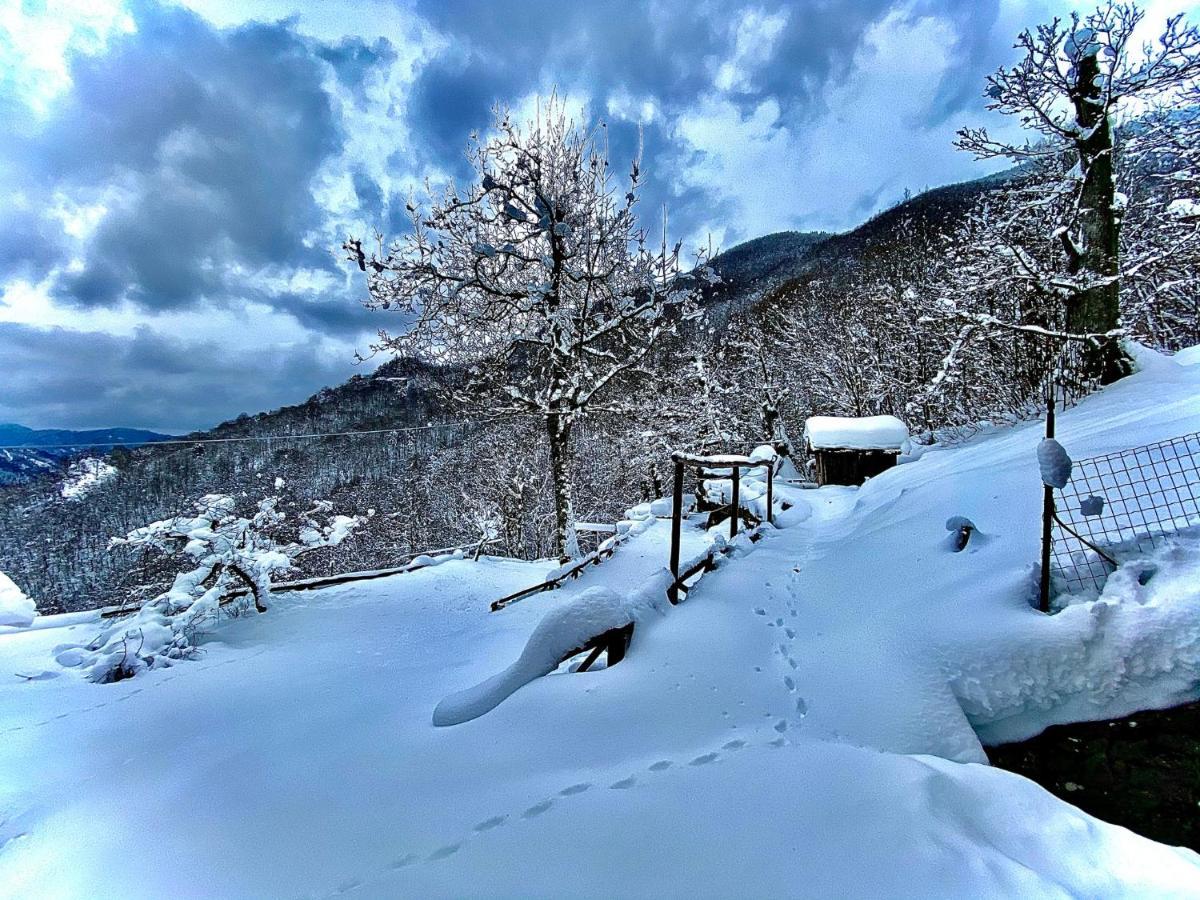 B&B La Presa Molino del Pallone ภายนอก รูปภาพ