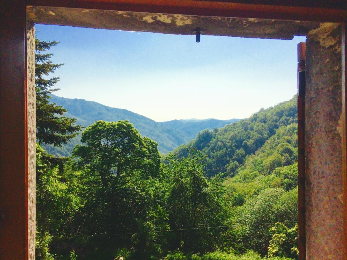 B&B La Presa Molino del Pallone ภายนอก รูปภาพ