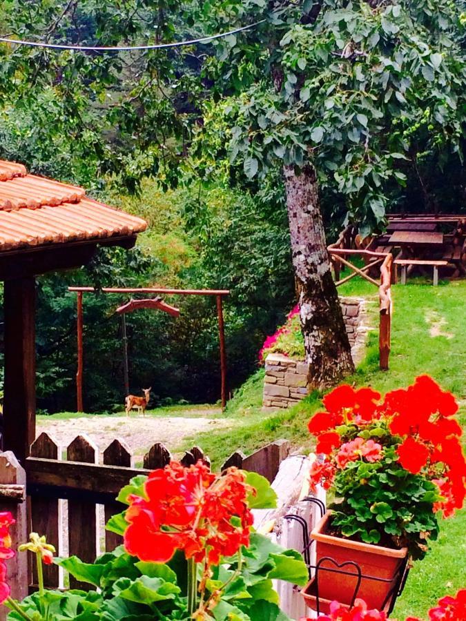 B&B La Presa Molino del Pallone ภายนอก รูปภาพ