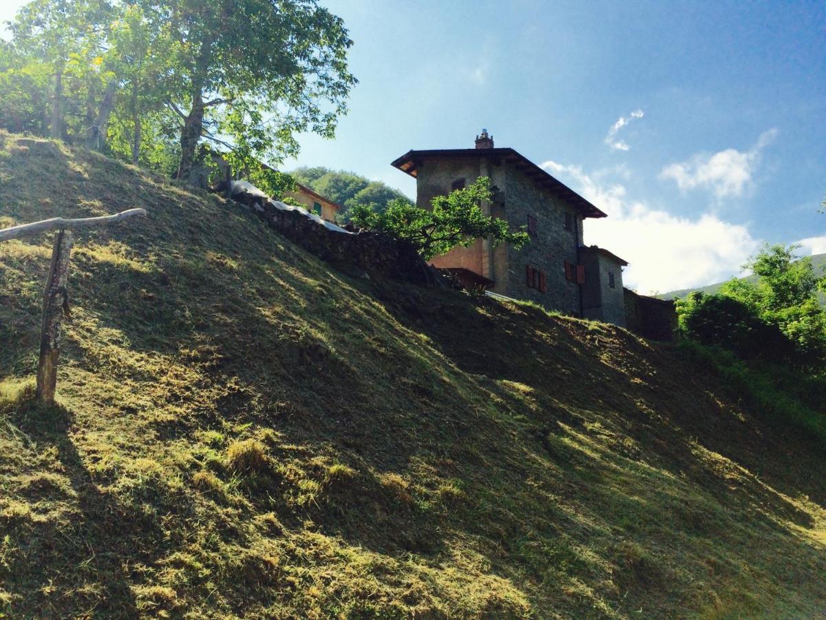 B&B La Presa Molino del Pallone ภายนอก รูปภาพ