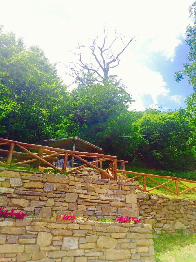 B&B La Presa Molino del Pallone ภายนอก รูปภาพ